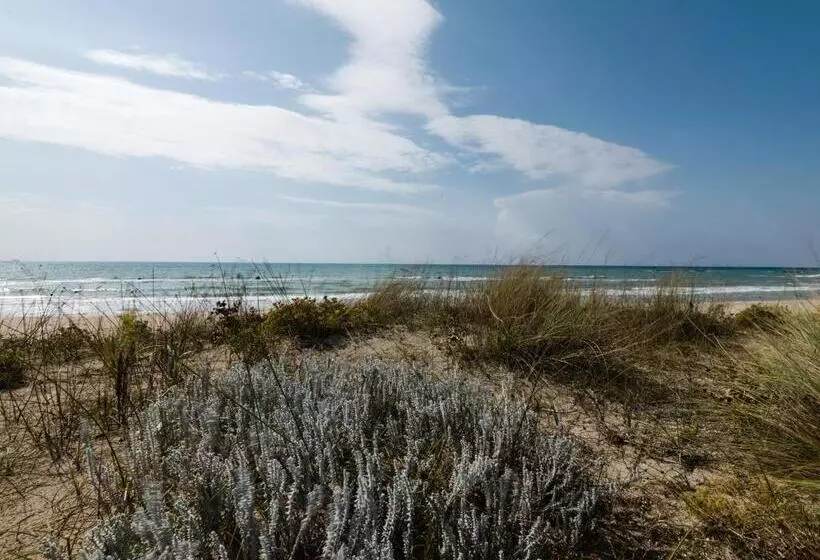 Majatalo Casa Barzò   Surrounded By Olive Trees