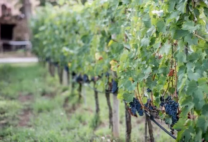 Hotelli Agriturismo Bio Fattoria Casetta