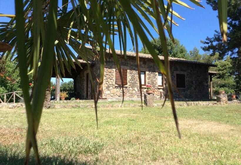 Отель Agriturismo Il Morello