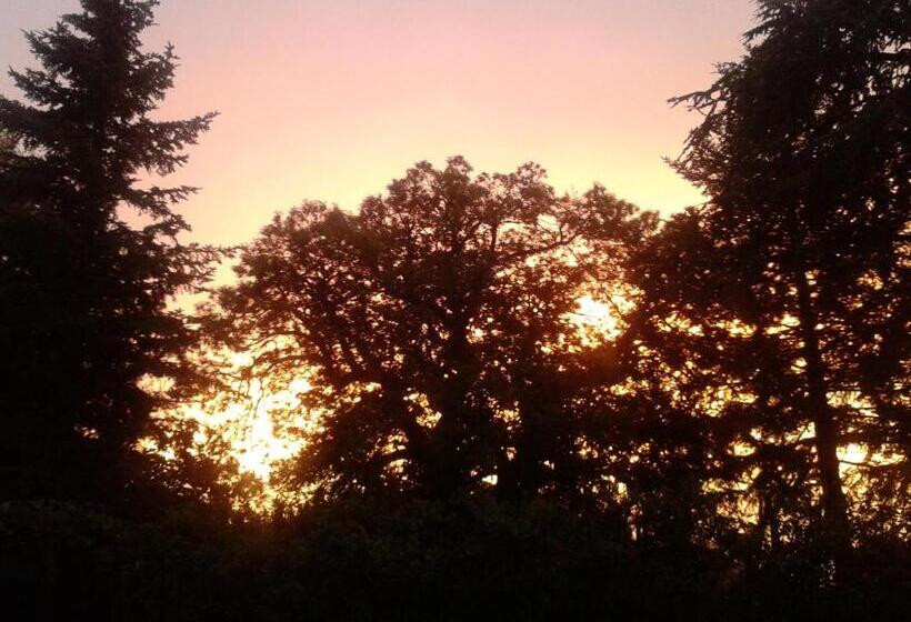 Отель Agriturismo Il Morello