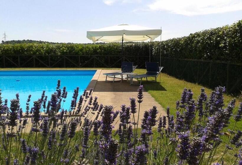 ホテル Agriturismo Il Morello