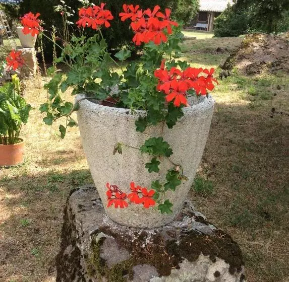 Hotelli Agriturismo Il Morello