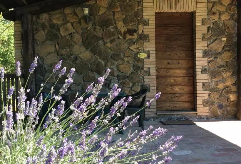 Hotelli Agriturismo Il Morello