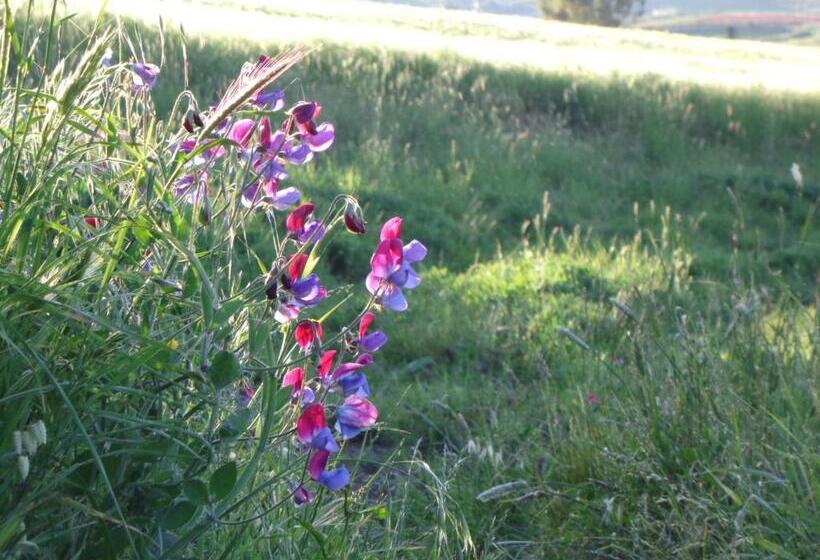 فندق Agriturismo San Pietro