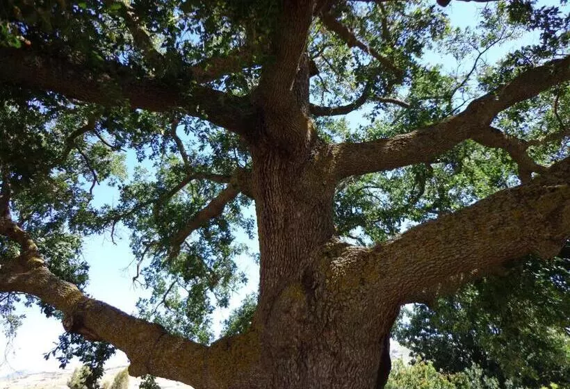 Hotelli Agriturismo San Pietro