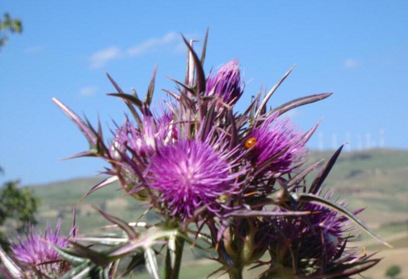 فندق Agriturismo San Pietro