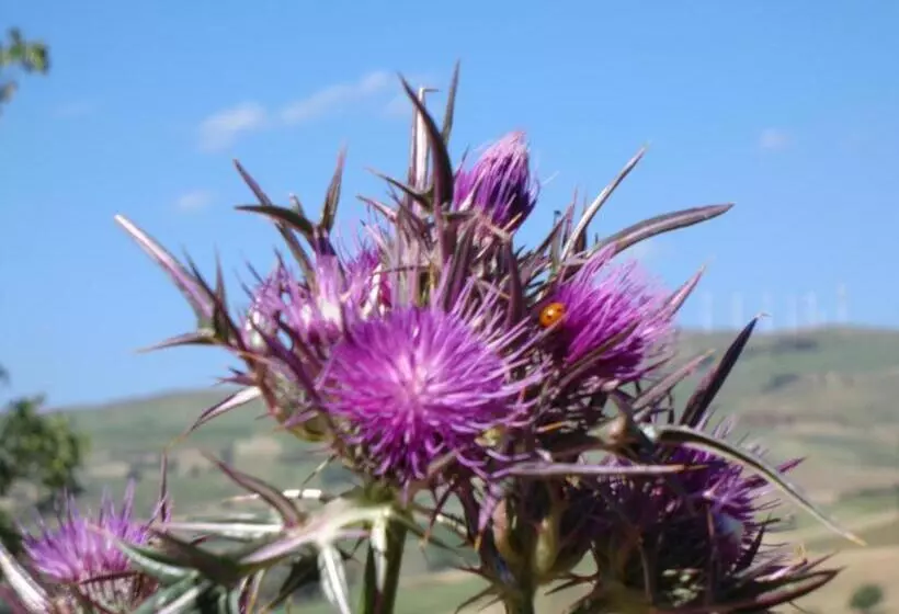 Hotelli Agriturismo San Pietro