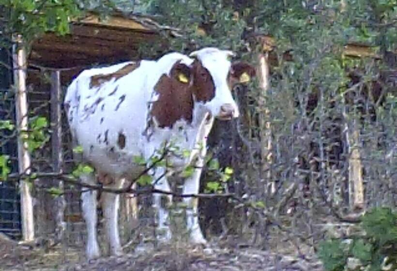 فندق Agriturismo San Pietro