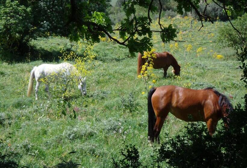فندق Agriturismo San Pietro