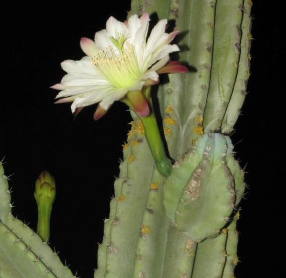 فندق Agriturismo San Pietro