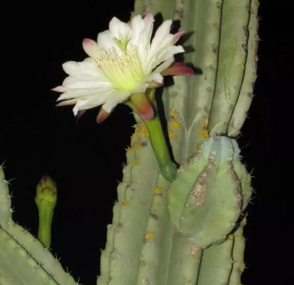 Hotelli Agriturismo San Pietro