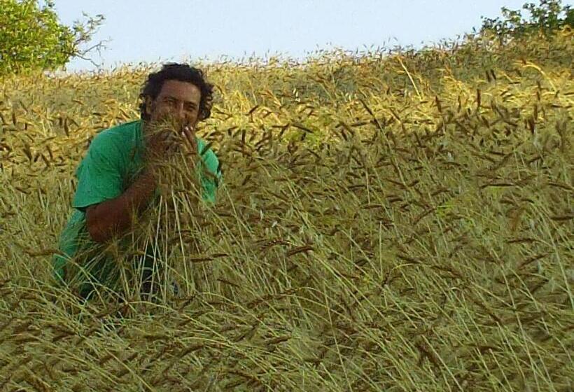 فندق Agriturismo San Pietro