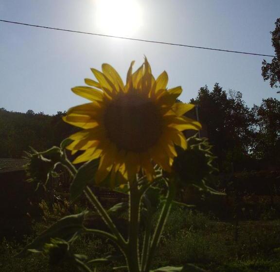 فندق Agriturismo San Pietro
