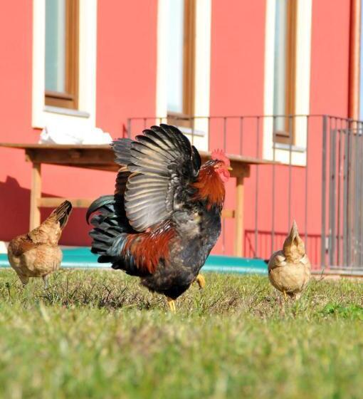 هتل Palazzo Rosso