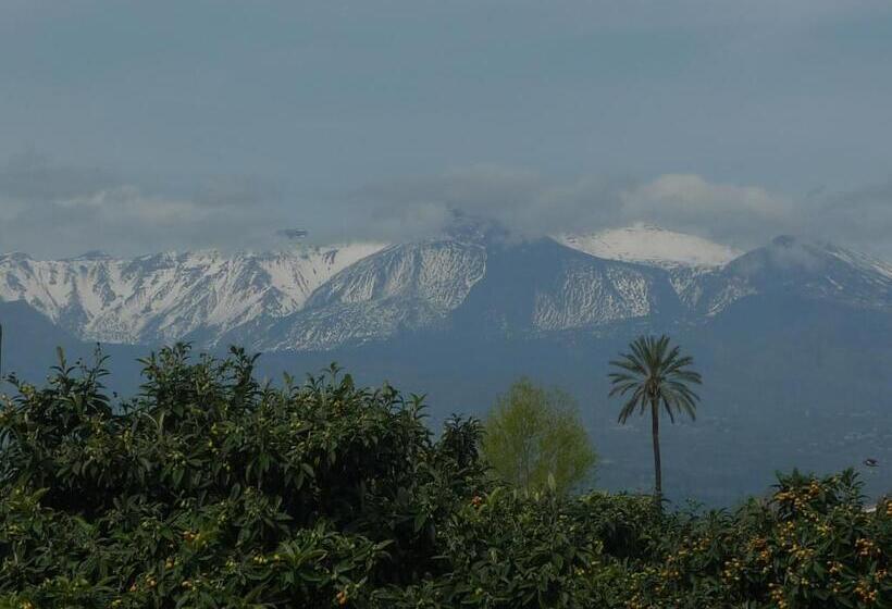 هتل Palazzo Rosso