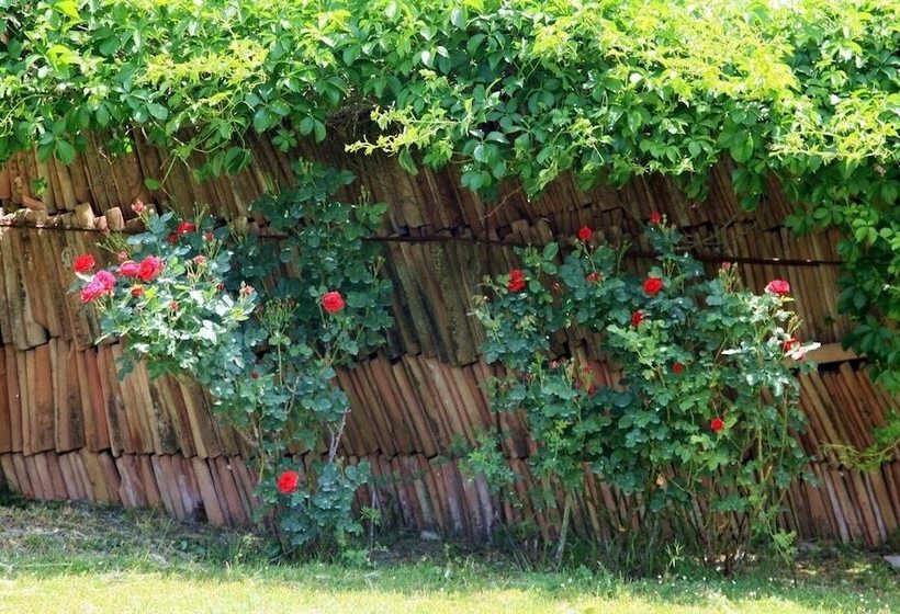 酒店 Agriturismo Podere Luchiano