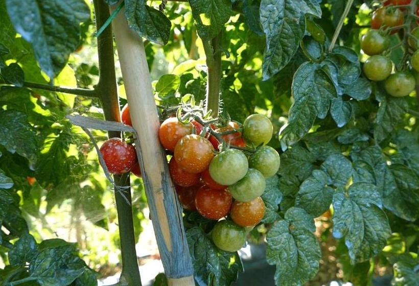 Residence Colle Veroni