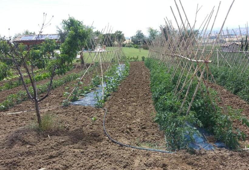 Residence Colle Veroni