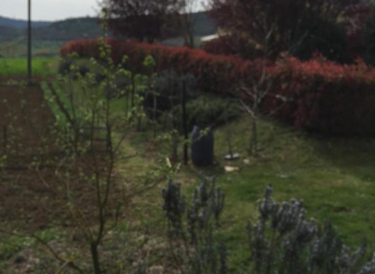 Azienda Agrituristica I Tre Casali