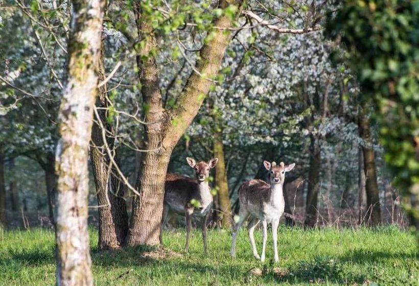 בית מלון כפרי Agriturismo I Leprotti
