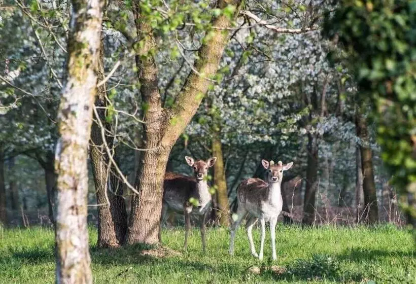 هتل Agriturismo I Leprotti