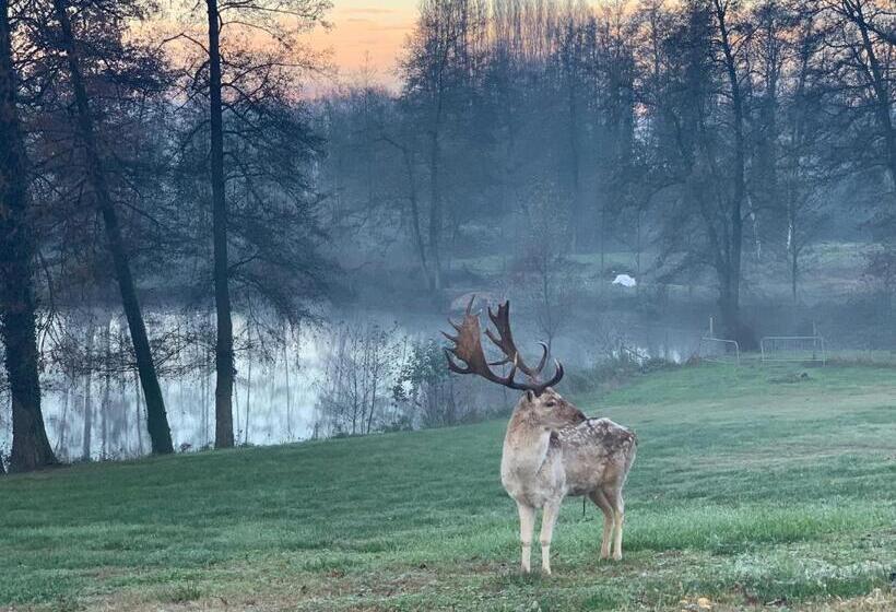 בית מלון כפרי Agriturismo I Leprotti