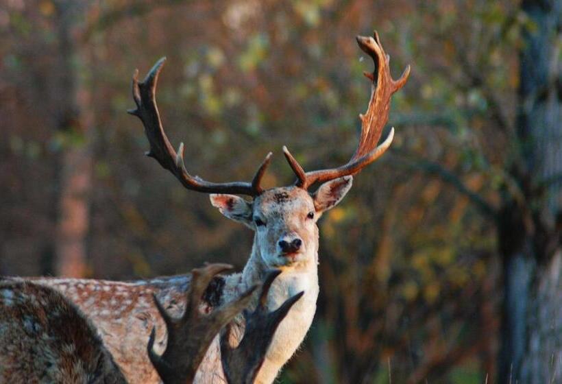 בית מלון כפרי Agriturismo I Leprotti