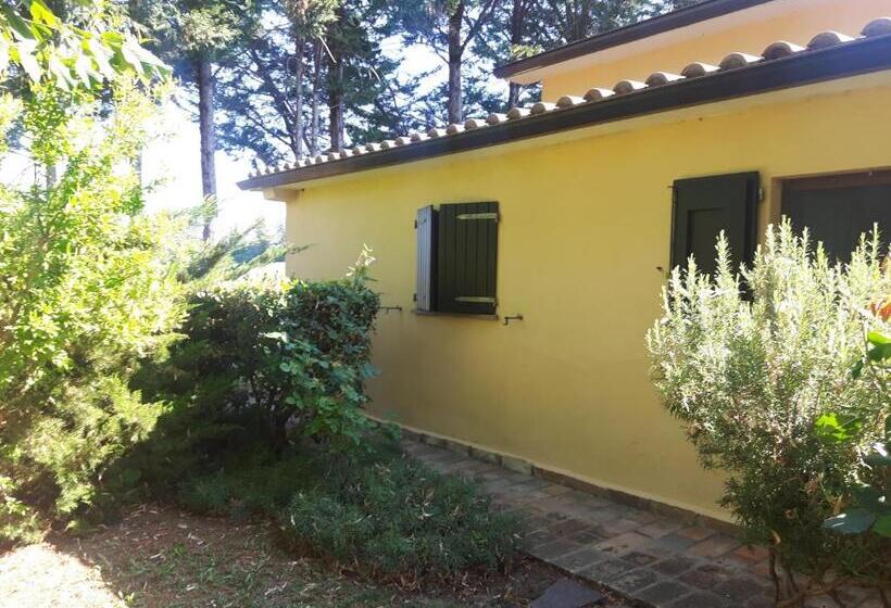 Отель Agriturismo La Selva