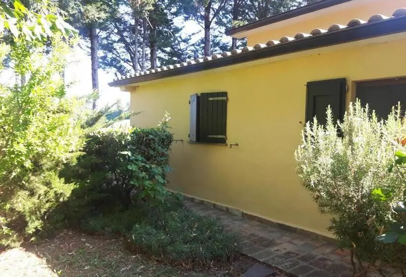 ホテル Agriturismo La Selva