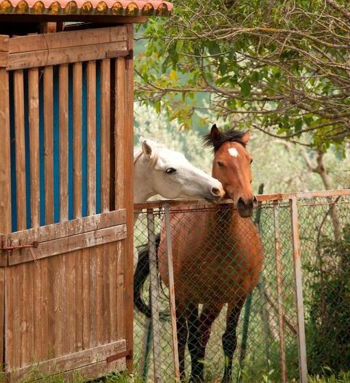 호텔 Agriturismo Ripaiani