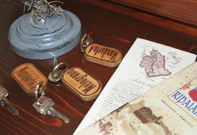 호텔 Agriturismo Ripaiani