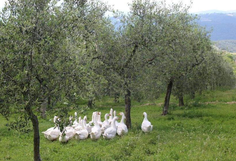 ホテル La Corte Dei Banchetti