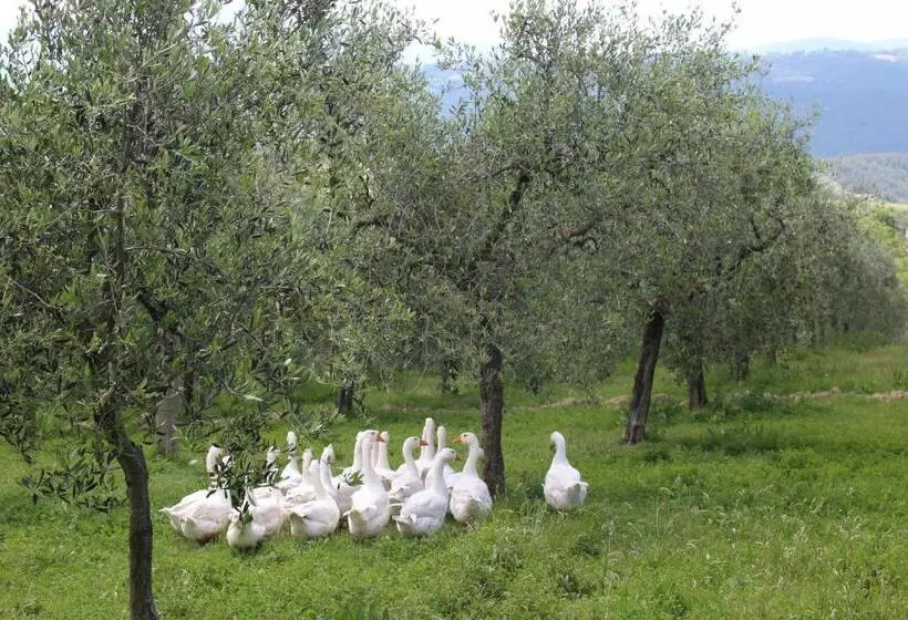 ホテル La Corte Dei Banchetti