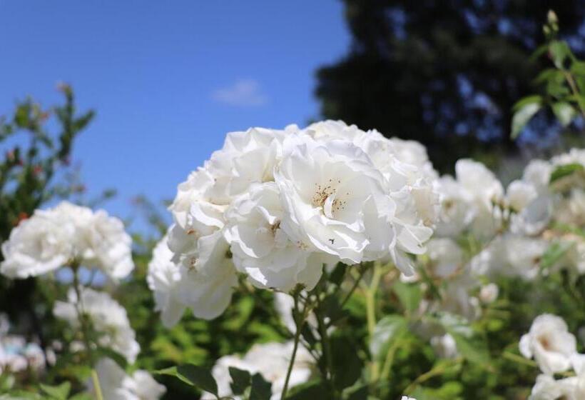 ホテル La Corte Dei Banchetti