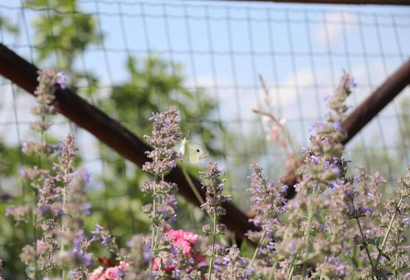 ホテル La Corte Dei Banchetti