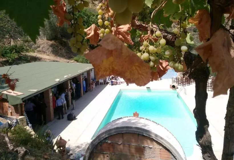 Hotel L'uliveto