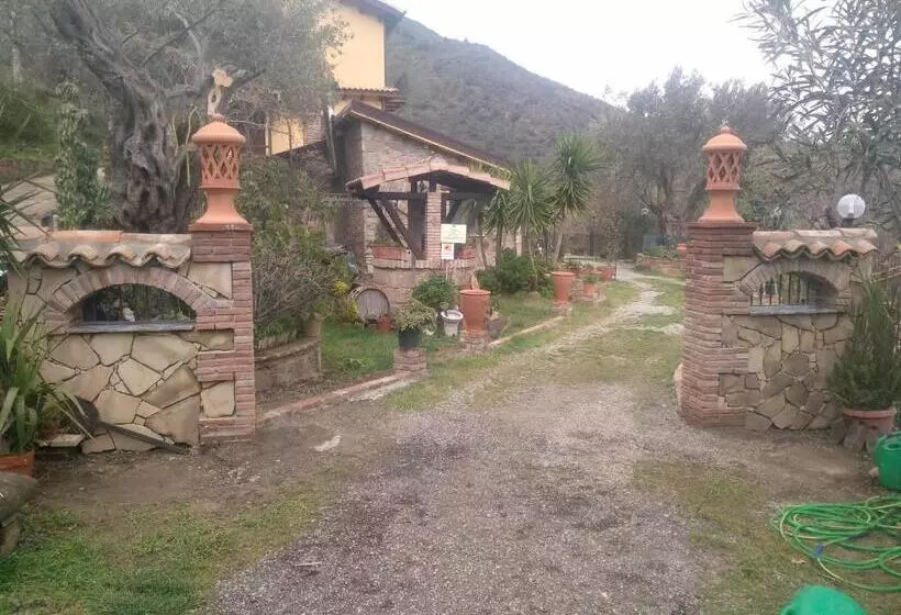 Hotel L'uliveto