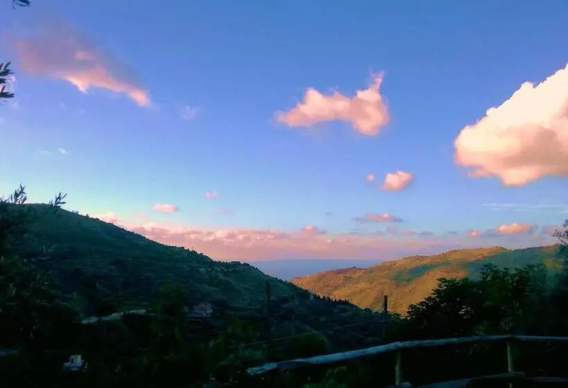 Hotel L'uliveto