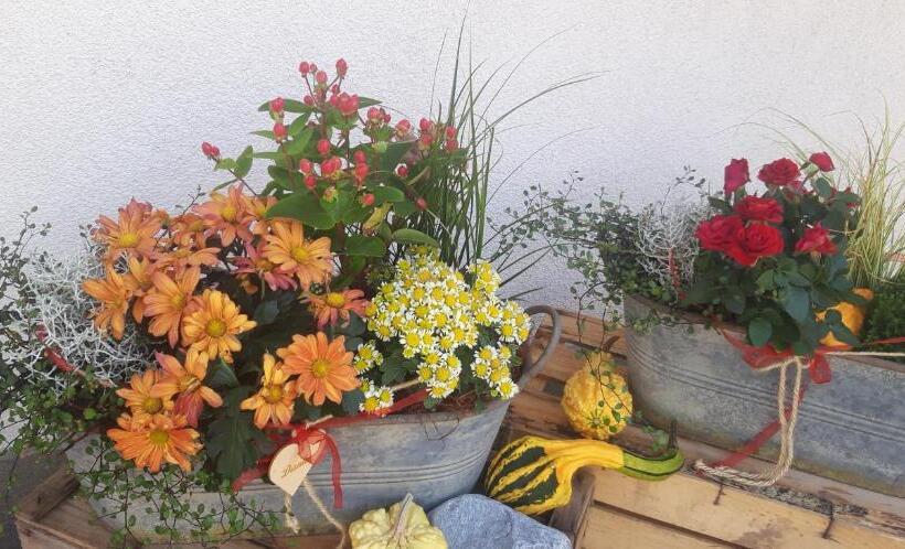 בית מלון כפרי Planitzhof