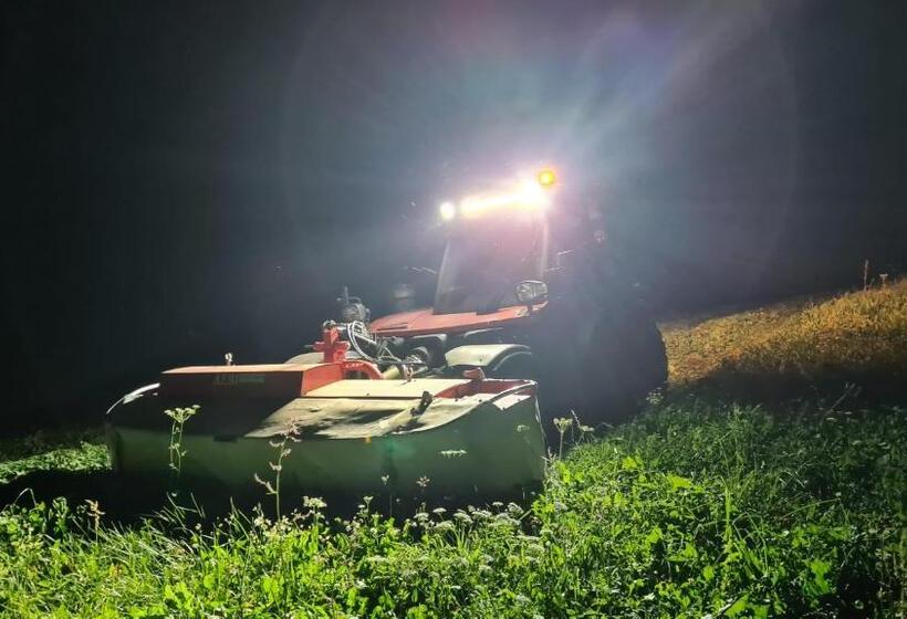 בית מלון כפרי Planitzhof