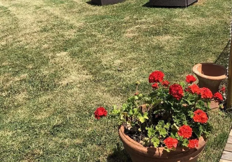 Hotelli Podere Cortesi Agriturismo Molinaccio