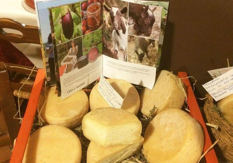 בית מלון כפרי Podere Cortesi Agriturismo Molinaccio