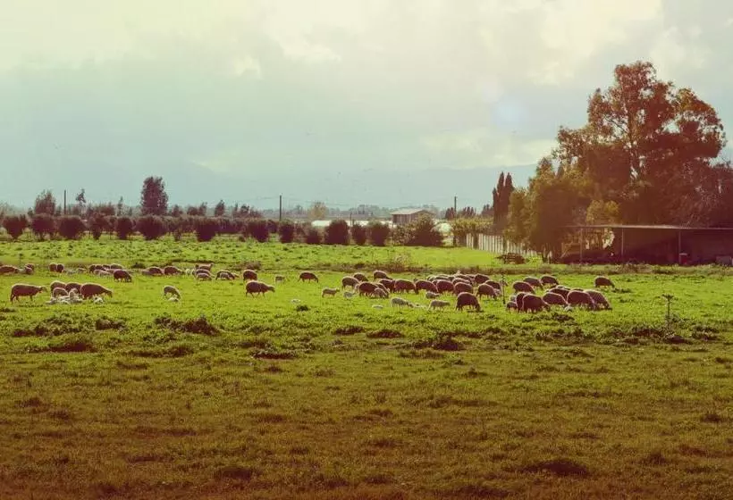 هتل Agriresort Terradome