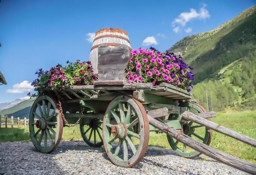 Bed & Breakfast Campaciol