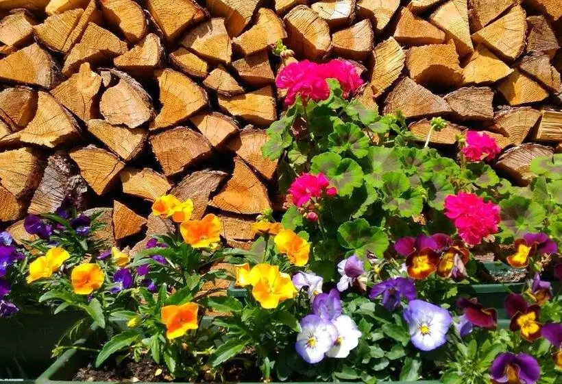 Bed & Breakfast Campaciol
