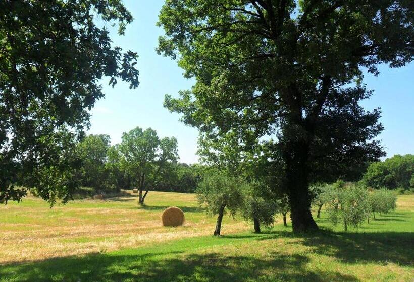 Casale Santa Caterina