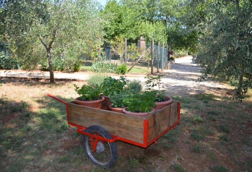 Casale Santa Caterina