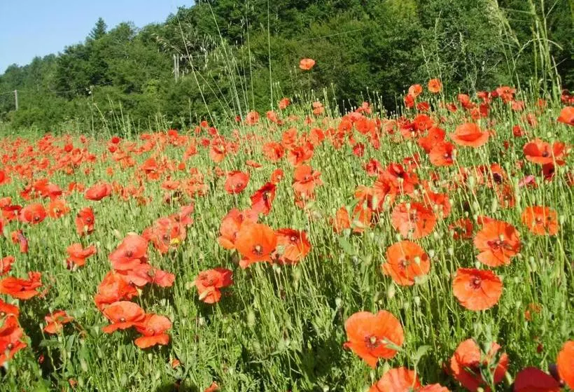 ホテル Agriturismo Cà Rossano