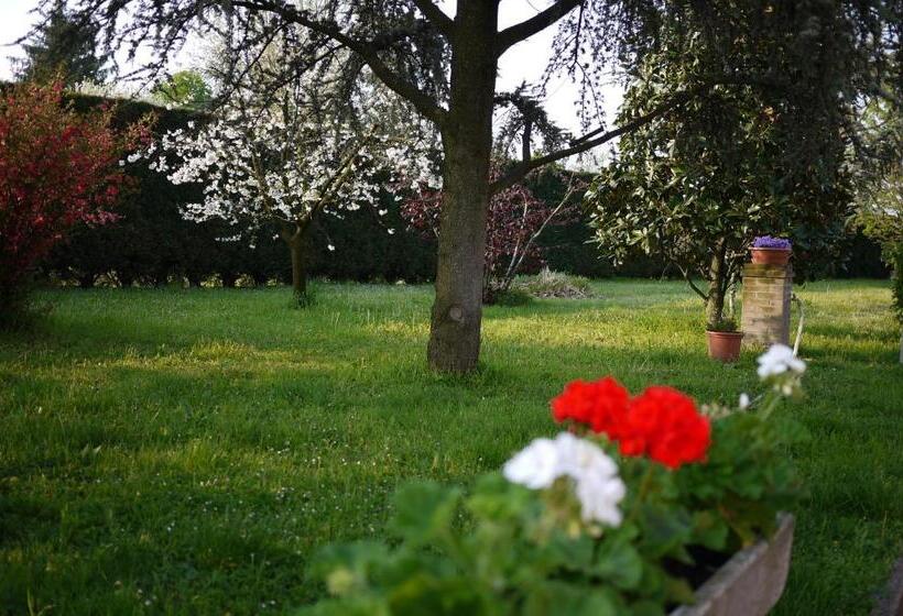 בית מלון כפרי Agriturismo Mongiorgi I Salici