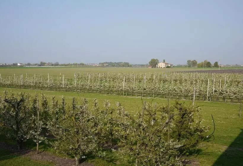 ホテル Agriturismo Mongiorgi I Salici